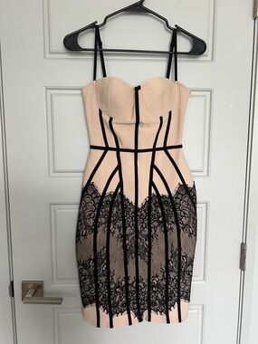 Fashion Nova Blush & Black Lace Bustier Mini Dress